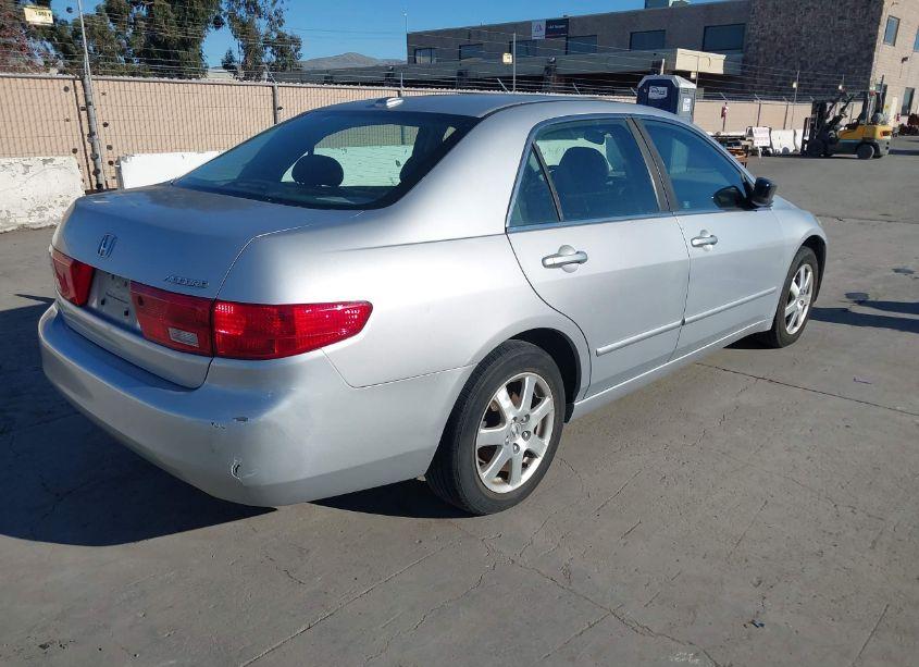 Photo 4 of 2005 Honda Accord 3.0 EX (VIN 1HGCM66835A078065)