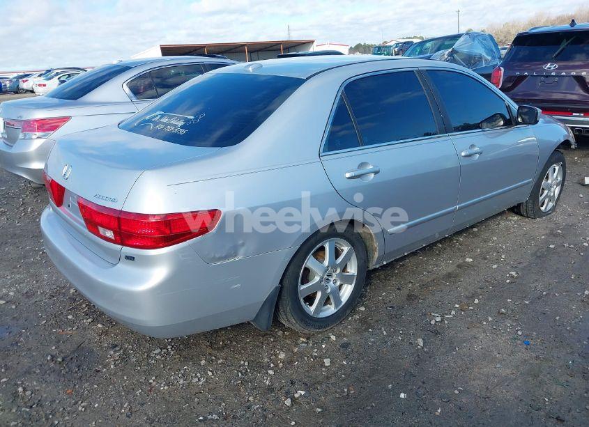 Photo 4 of 2005 Honda Accord 3.0 EX (VIN 1HGCM66845A051487)