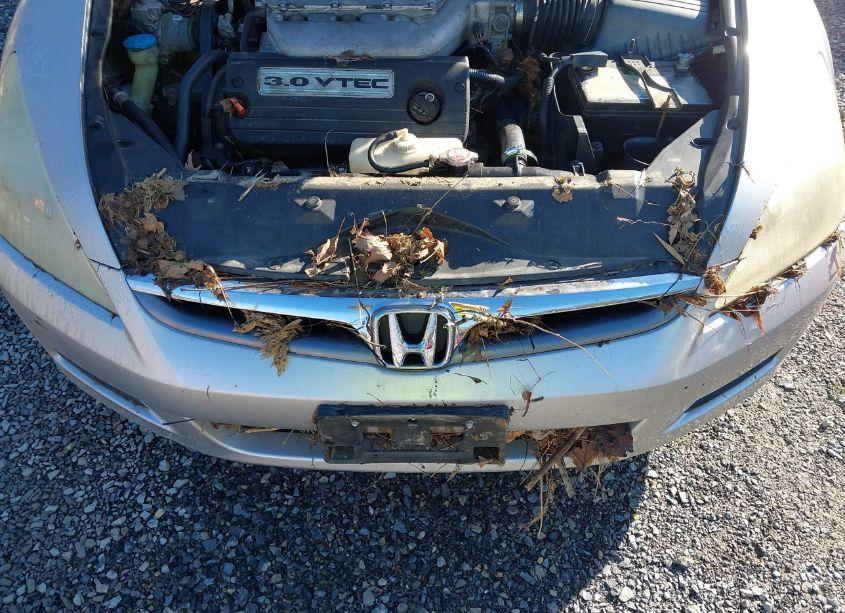 Photo 6 of 2006 Honda Accord 3.0 EX (VIN 1HGCM66866A034031)