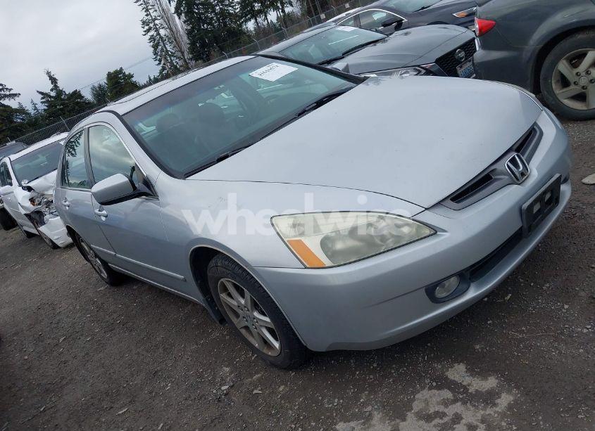 2004 Honda Accord 3.0 EX (VIN 1HGCM66874A021995) main photo
