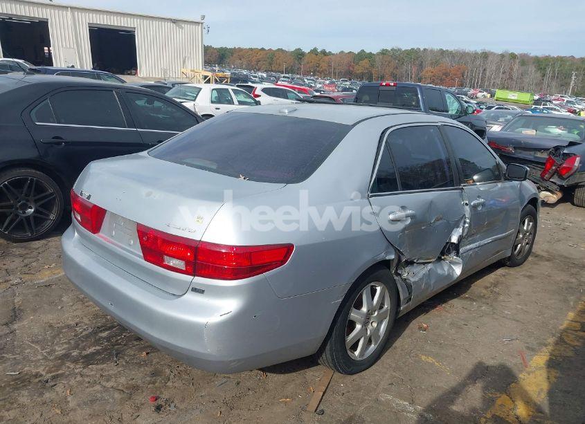 Photo 4 of 2005 Honda Accord 3.0 EX (VIN 1HGCM66875A047675)