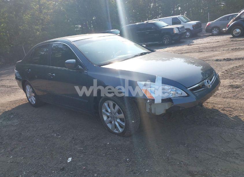 2007 Honda Accord 3.0 EX (VIN 1HGCM66877A014291) main photo