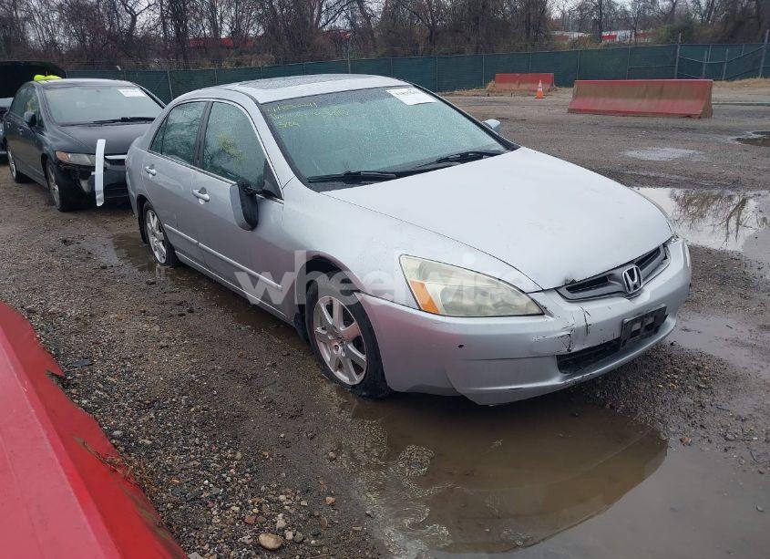 2005 Honda Accord 3.0 EX (VIN 1HGCM66885A019027) main photo