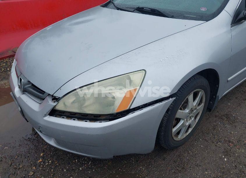 Photo 6 of 2005 Honda Accord 3.0 EX (VIN 1HGCM66885A019027)
