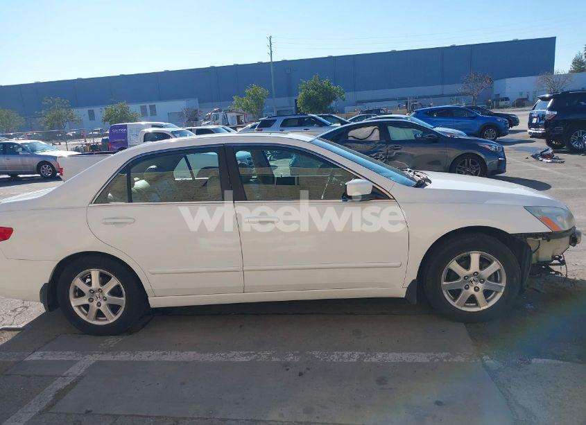 Photo 14 of 2005 Honda Accord 3.0 EX (VIN 1HGCM66885A027855)