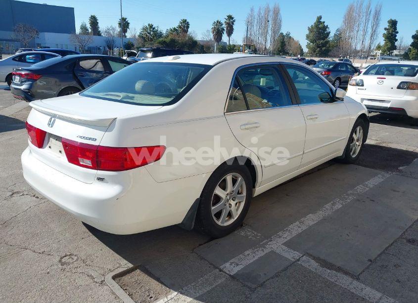 Photo 4 of 2005 Honda Accord 3.0 EX (VIN 1HGCM66885A027855)
