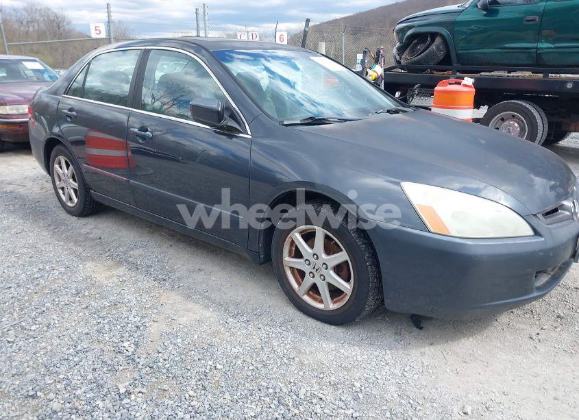 2003 Honda Accord 3.0 EX (VIN 1HGCM66893A099659) main photo