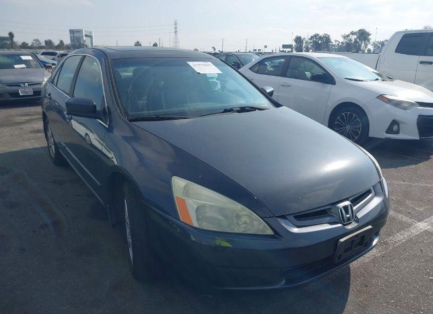 2004 Honda Accord 3.0 EX (VIN 1HGCM66894A080918) main photo