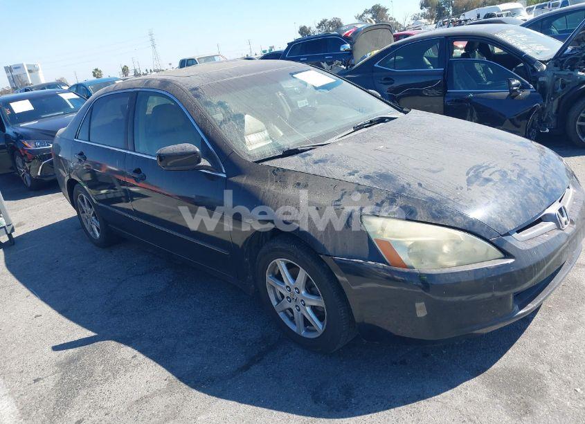 2004 Honda Accord SDN EX (VIN 1HGCM668X4A047135) main photo
