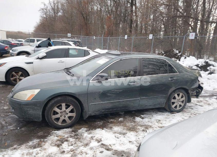 Photo 14 of 2005 Honda Accord 3.0 EX (VIN 1HGCM668X5A035830)