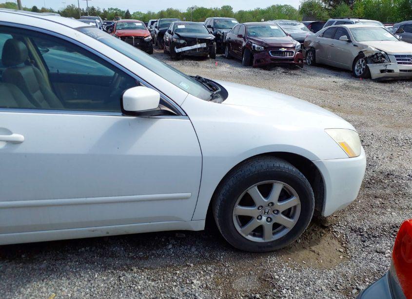 2005 Honda Accord SDN EX-L V6 WITH NAVI (VIN 1HGCM668X5A039571) main photo