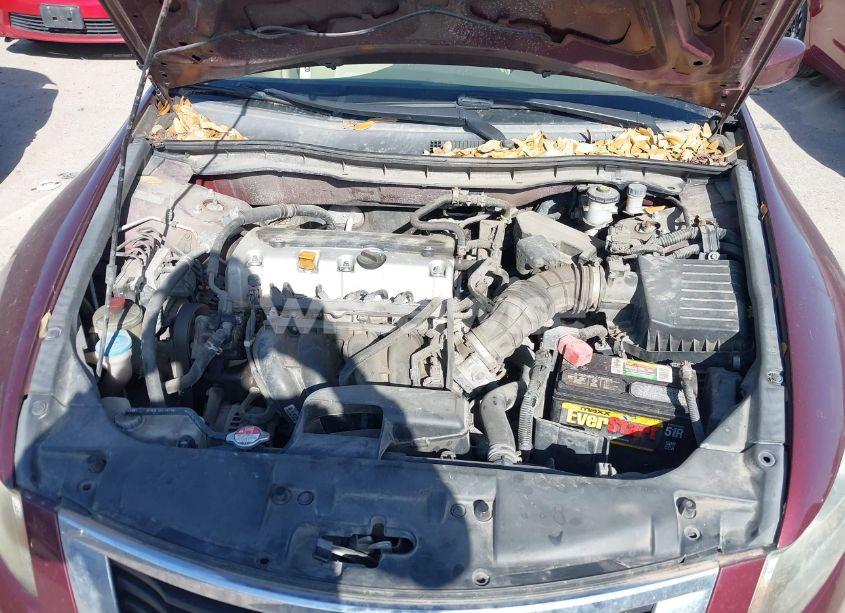 Photo 10 of 2009 Honda Accord 2.4 LX-P (VIN 1HGCP25429A148613)