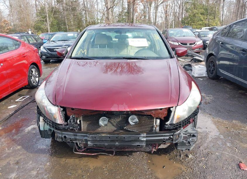 Photo 13 of 2009 Honda Accord 2.4 LX (VIN 1HGCP26319A175551)