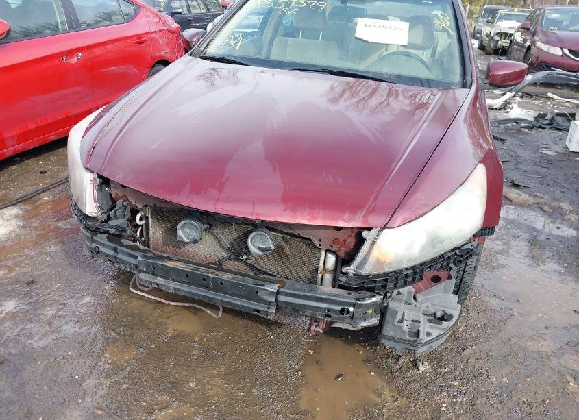 Photo 6 of 2009 Honda Accord 2.4 LX (VIN 1HGCP26319A175551)