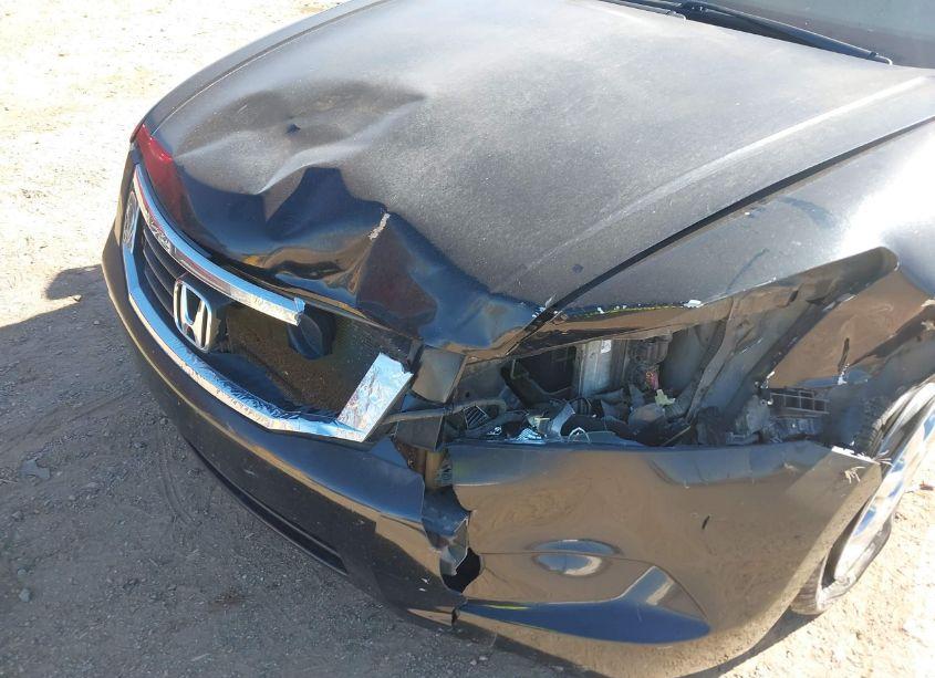 Photo 6 of 2009 Honda Accord 2.4 LX (VIN 1HGCP26339A090291)