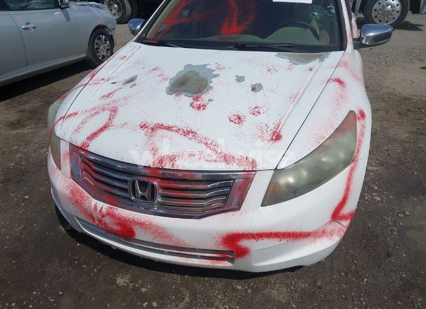 Photo 6 of 2009 Honda Accord 2.4 LX (VIN 1HGCP26369A190868)