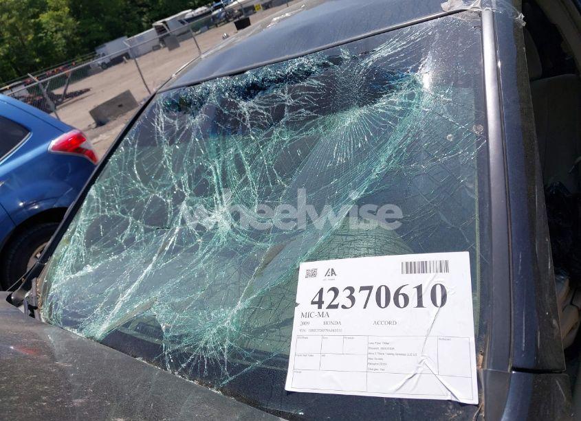 Photo 6 of 2009 Honda Accord 2.4 LX (VIN 1HGCP26379A161010)