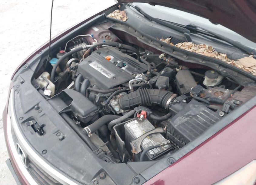 Photo 10 of 2009 Honda Accord 2.4 LX (VIN 1HGCP26399A045372)