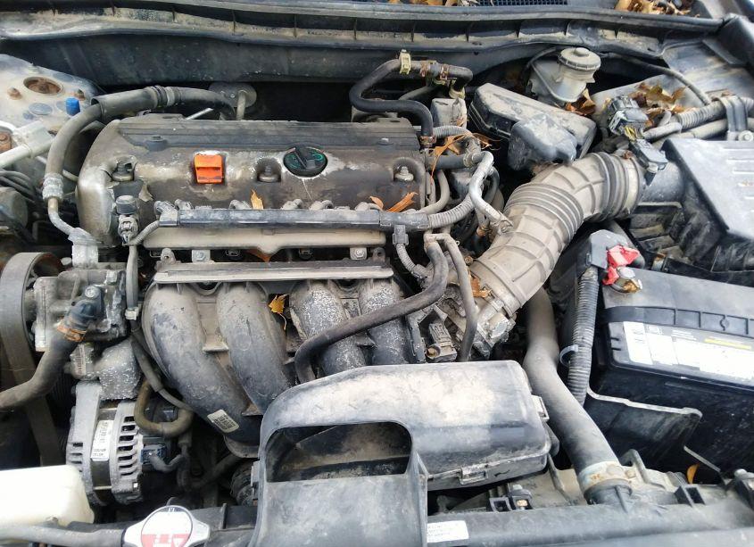 Photo 10 of 2008 Honda Accord 2.4 LX-P (VIN 1HGCP26418A042912)