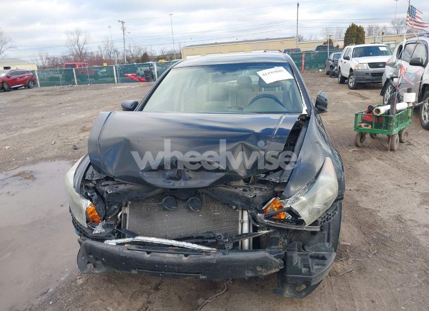 Photo 13 of 2009 Honda Accord 2.4 LX-P (VIN 1HGCP26459A128354)
