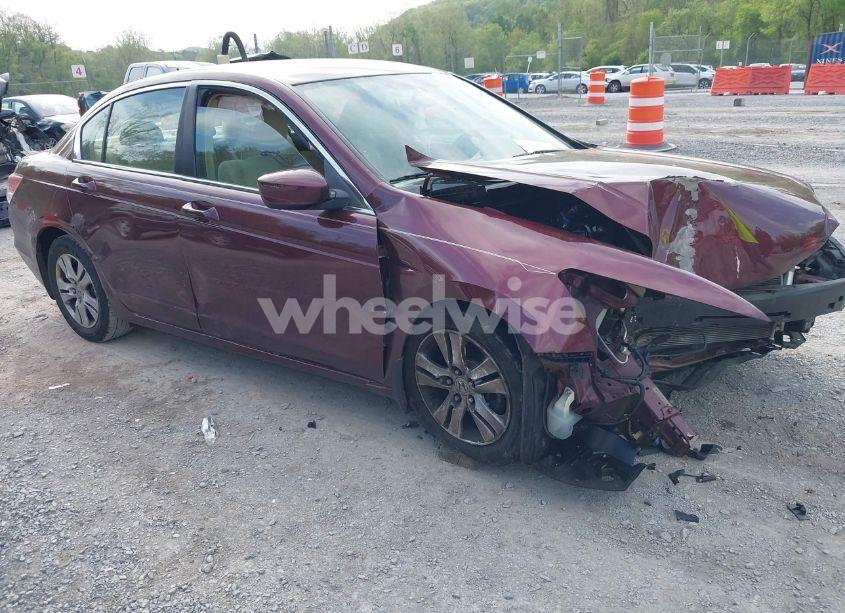 2009 Honda Accord 2.4 LX-P (VIN 1HGCP26489A101424) main photo