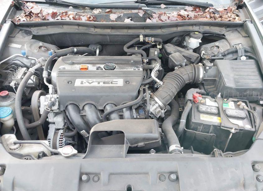 Photo 10 of 2009 Honda Accord 2.4 LX-P (VIN 1HGCP26499A075268)