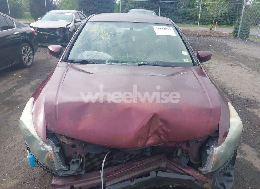 Photo 13 of 2008 Honda Accord 2.4 LX-P (VIN 1HGCP264X8A105053)