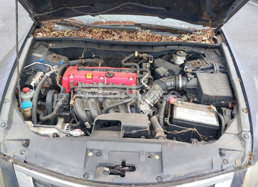 Photo 10 of 2008 Honda Accord 2.4 LX-P (VIN 1HGCP264X8A165057)