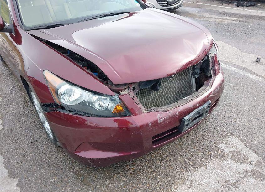 Photo 17 of 2009 Honda Accord 2.4 EX (VIN 1HGCP26729A199716)