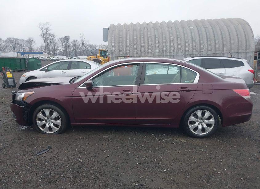 Photo 14 of 2008 Honda Accord 2.4 EX (VIN 1HGCP26738A015303)