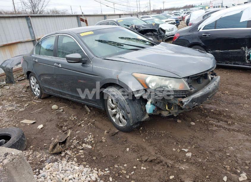 2008 Honda Accord 2.4 EX (VIN 1HGCP26748A130203) main photo