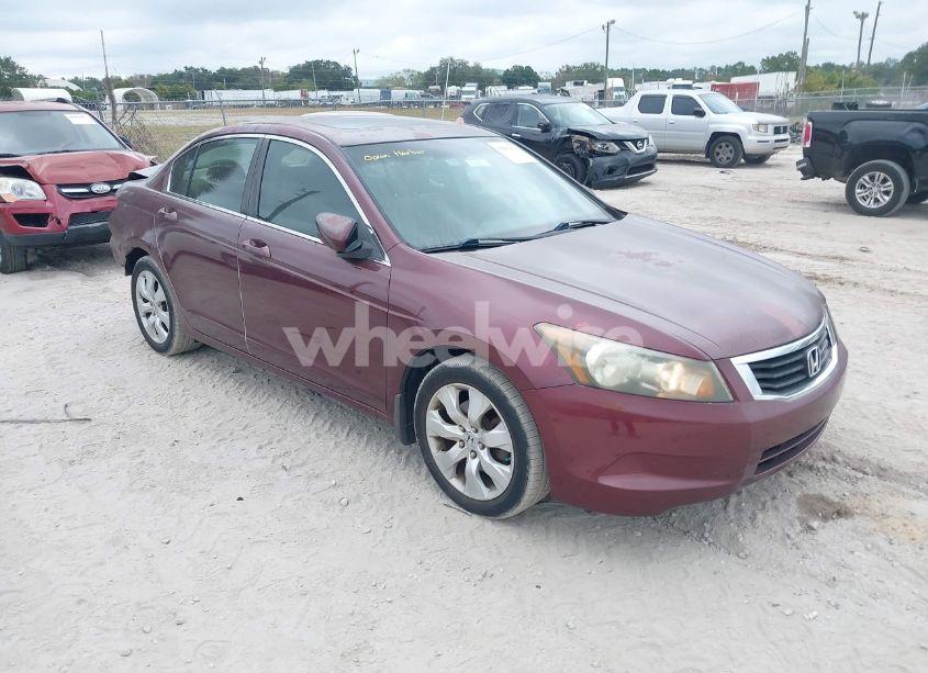 2009 Honda Accord 2.4 EX (VIN 1HGCP26769A144413) main photo