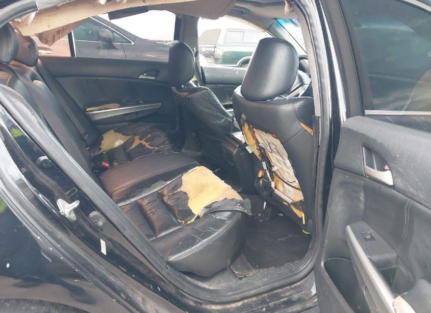 Photo 8 of 2008 Honda Accord 2.4 EX-L (VIN 1HGCP26808A126707)