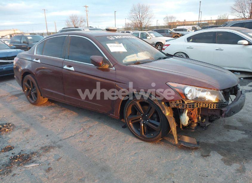 2008 Honda Accord 2.4 EX-L (VIN 1HGCP26808A148612) main photo