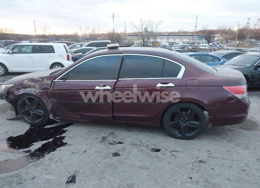 Photo 13 of 2008 Honda Accord 2.4 EX-L (VIN 1HGCP26808A148612)