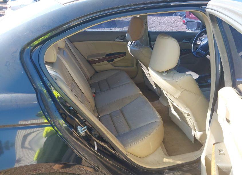 Photo 8 of 2008 Honda Accord 2.4 EX-L (VIN 1HGCP26808A159349)