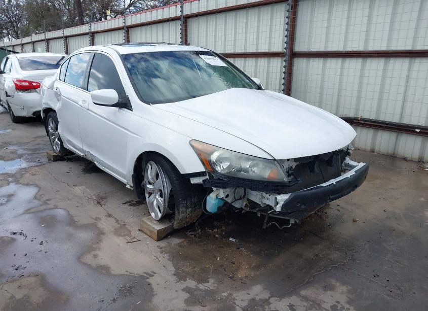 2009 Honda Accord 2.4 EX-L (VIN 1HGCP26809A035695) main photo