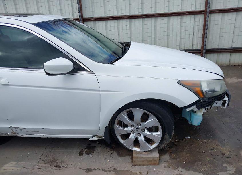 Photo 21 of 2009 Honda Accord 2.4 EX-L (VIN 1HGCP26809A035695)