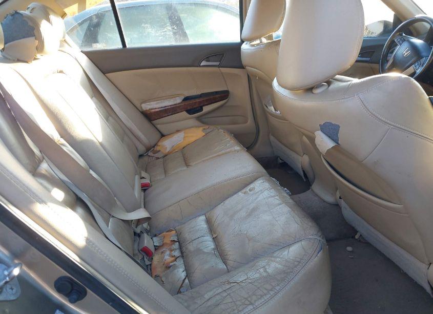 Photo 8 of 2009 Honda Accord 2.4 EX-L (VIN 1HGCP26809A098733)