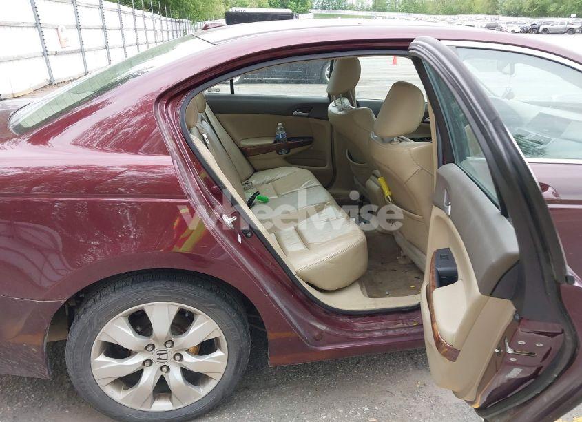 Photo 8 of 2009 Honda Accord 2.4 EX-L (VIN 1HGCP26809A152998)