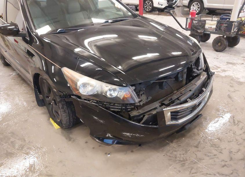 Photo 17 of 2008 Honda Accord 2.4 EX-L (VIN 1HGCP26818A076996)