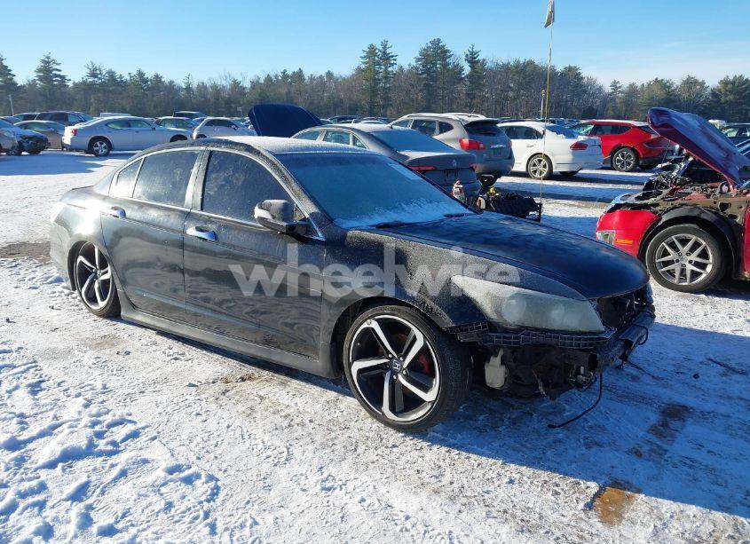 2008 Honda Accord 2.4 EX-L (VIN 1HGCP26818A113819) main photo