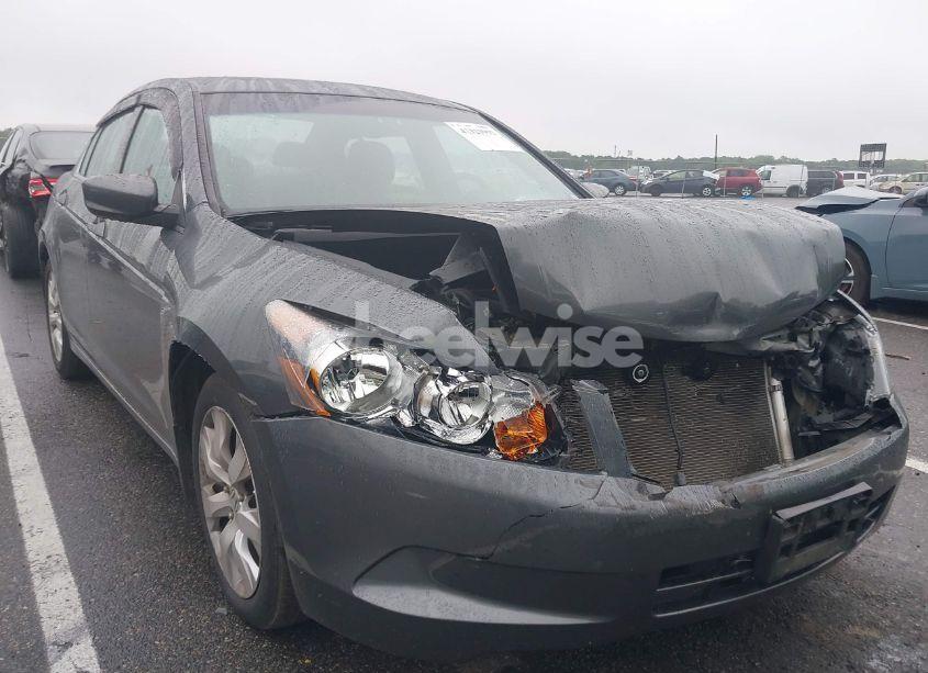 2009 Honda Accord 2.4 EX-L (VIN 1HGCP26819A055776) main photo
