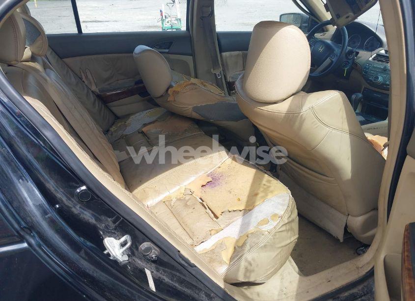 Photo 8 of 2008 Honda Accord 2.4 EX-L (VIN 1HGCP26828A008271)