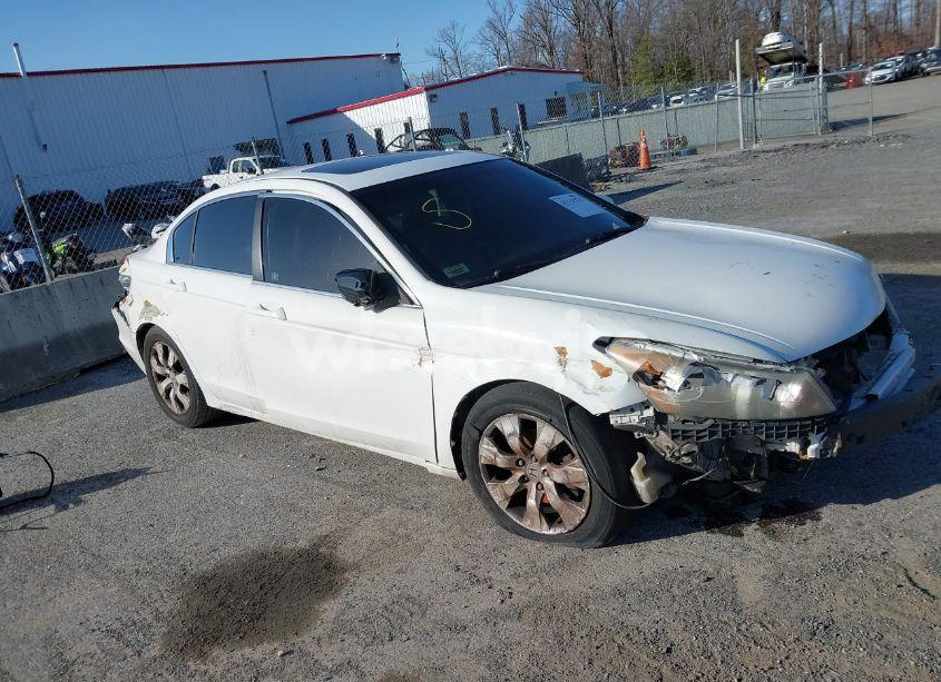 2008 Honda Accord 2.4 EX-L (VIN 1HGCP26838A047046) main photo