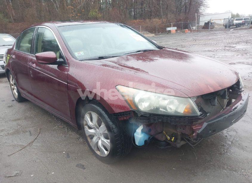2008 Honda Accord 2.4 EX-L (VIN 1HGCP26838A115684) main photo