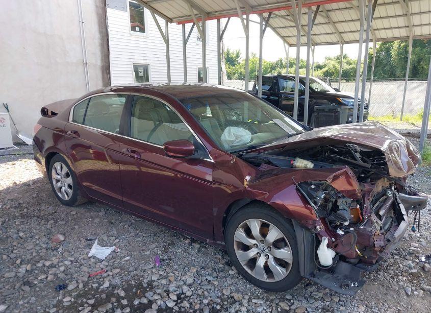 Photo 14 of 2009 Honda Accord 2.4 EX-L (VIN 1HGCP26839A015327)