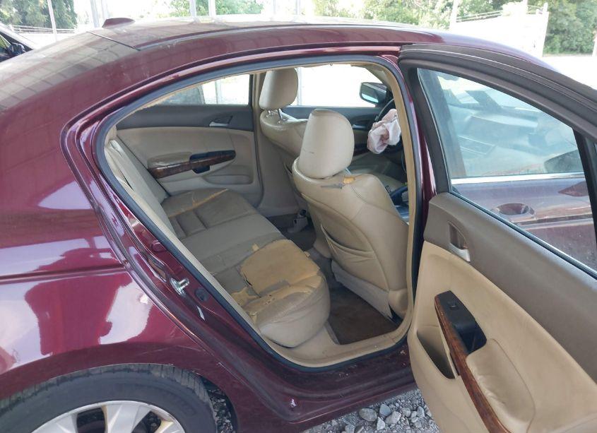 Photo 8 of 2009 Honda Accord 2.4 EX-L (VIN 1HGCP26839A015327)