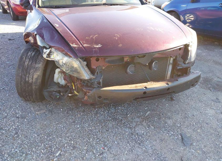 Photo 6 of 2009 Honda Accord 2.4 EX-L (VIN 1HGCP26839A031527)