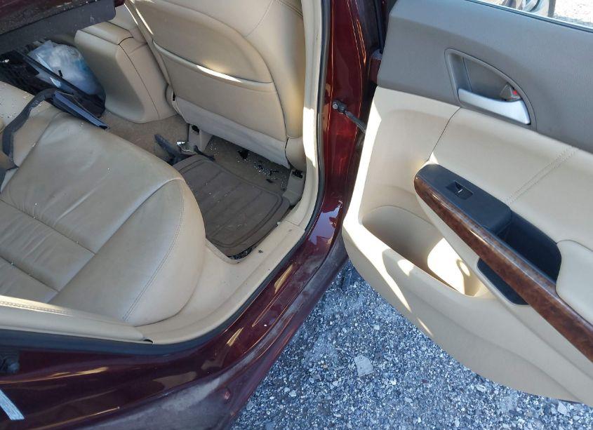 Photo 8 of 2009 Honda Accord 2.4 EX-L (VIN 1HGCP26839A031527)